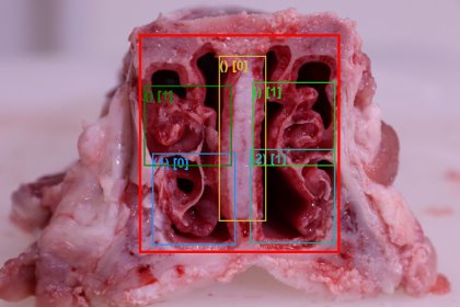 Processing of the Rhinitis model. Photo: Hipra Processing of the Rhinitis model. Photo: Hipra