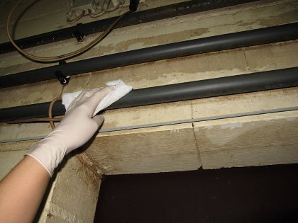 Work thoroughly with wipe samples, also on difficult places. Photo: Ceva Work thoroughly with wipe samples, also on difficult places. Photo: Ceva