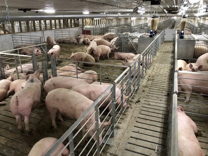 A retrofitted barn in Arkansas, USA. - Photo: Jyga Technologies A retrofitted barn in Arkansas, USA. - Photo: Jyga Technologies