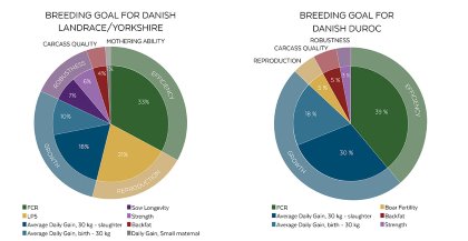 Unique approach to updating breeding programme Unique approach to updating breeding programme