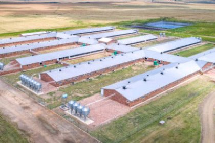 The new Topigs Norsvin nucleus farm in Rietfontein, South Africa. Illustration: Topigs Norsvin The new Topigs Norsvin nucleus farm in Rietfontein, South Africa. Illustration: Topigs Norsvin