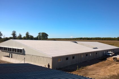Wrapping up December: What’s new in the world of pigs? Wrapping up December: What’s new in the world of pigs?