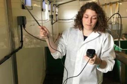 Wrapping up December: What’s new in the world of pigs? Wrapping up December: What’s new in the world of pigs?