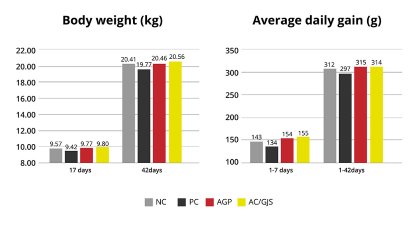 Piglet nutrition scenarios for AGP removal Piglet nutrition scenarios for AGP removal