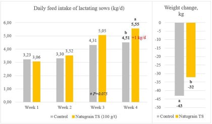 Improving the nutrient intake of sows and piglets Improving the nutrient intake of sows and piglets