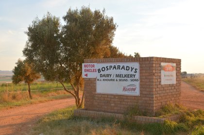 Bosparadys’ main source of income would be from dairy produce. Photo: Chris McCullough Bosparadys’ main source of income would be from dairy produce. Photo: Chris McCullough