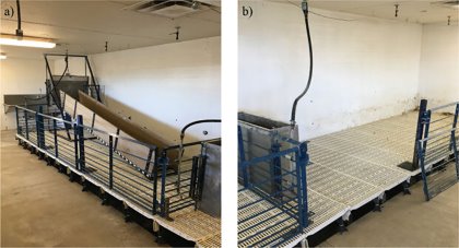 Photo: Reprinted from Applied Animal Science, 36(4), Novak, B. L., Young, J. M., Newman, D. J., Johnson, A. K., & Wagner, S. A., ), A ramp in nursery housing affects nursery pig behavior and speeds loading of market hogs, Pages 574-581, 2020, with permission from permission from the American Registry of Professional Animal Scientists. Photo: Reprinted from Applied Animal Science, 36(4), Novak, B. L., Young, J. M., Newman, D. J., Johnson, A. K., & Wagner, S. A., ), A ramp in nursery housing affects nursery pig behavior and speeds loading of market hogs, Pages 574-581, 2020, with permission from permission from the American Registry of Professional Animal Scientists.