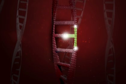 Gene editing allows a change to a single letter in the DNA by an enzyme that cuts DNA, copied from a natural bacterial defence system. Illustration: Dreamstime Gene editing allows a change to a single letter in the DNA by an enzyme that cuts DNA, copied from a natural bacterial defence system. Illustration: Dreamstime
