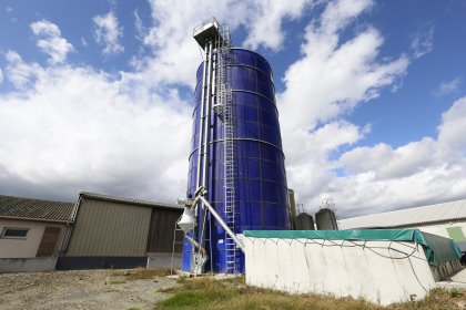 Investment needed in French pig industry Investment needed in French pig industry