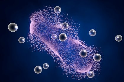 Sustaining antibiotic efficacy in the long term is critical and demands the responsible use of antibiotic therapies. Photo: Shutterstock Sustaining antibiotic efficacy in the long term is critical and demands the responsible use of antibiotic therapies. Photo: Shutterstock