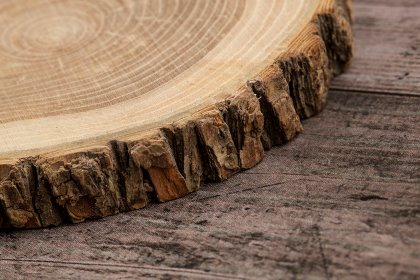 Fibre is generally considered in the context of avoiding constipation; however, lignocellulose, of which wood is a natural source, can offer benefits. Photo: Agromed/Istock Fibre is generally considered in the context of avoiding constipation; however, lignocellulose, of which wood is a natural source, can offer benefits. Photo: Agromed/Istock