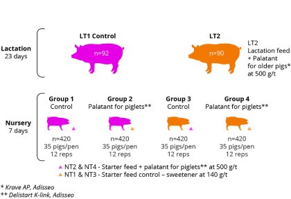 Linking sow diets to piglet nutrition Linking sow diets to piglet nutrition