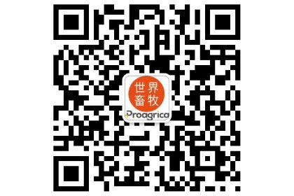 Pig Progress celebrates its WeChat launch in China Pig Progress celebrates its WeChat launch in China
