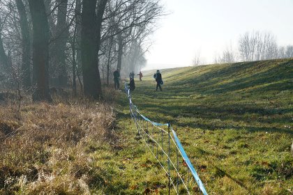 The new temporary fence is about 90cm tall. Photo: Ministry of Consumer Protection, Brandenburg, Germany The new temporary fence is about 90cm tall. Photo: Ministry of Consumer Protection, Brandenburg, Germany
