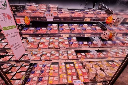 Wrapping up September: What’s new in the world of pigs? Wrapping up September: What’s new in the world of pigs?