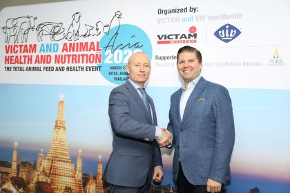 Wrapping up February: What’s new in the world of pigs? Wrapping up February: What’s new in the world of pigs?