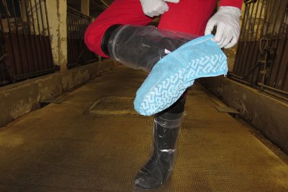 ‘Sock and environmental swab’ samples are the best method to assess the burden and spread of Salmonella on-farm. - Photo: Ceva ‘Sock and environmental swab’ samples are the best method to assess the burden and spread of Salmonella on-farm. - Photo: Ceva