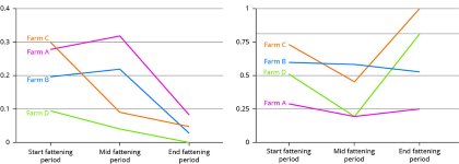 Pig welfare calls for broad approach Pig welfare calls for broad approach