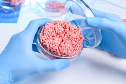 Cultivated meat in a petri dish. Is this (part of) the future for meat consumers? - Photo: Shutterstock Cultivated meat in a petri dish. Is this (part of) the future for meat consumers? - Photo: Shutterstock