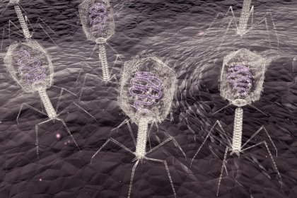 Bacteriophages in close up. Photo: Shutterstock Bacteriophages in close up. Photo: Shutterstock