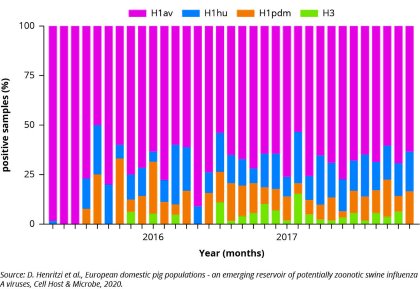 Influenza and its presence in European pig herds Influenza and its presence in European pig herds