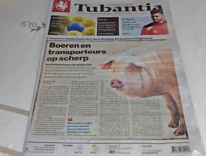 Even in the Netherlands, ASF now makes headlines. Photo: Ria ter Beek Even in the Netherlands, ASF now makes headlines. Photo: Ria ter Beek