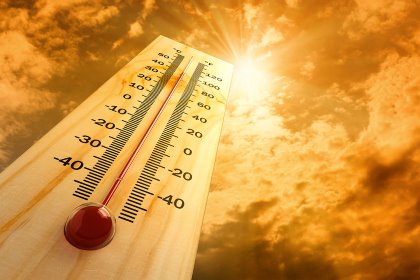Higher temperatures can negatively affect pig growth. Photo: Shutterstock Higher temperatures can negatively affect pig growth. Photo: Shutterstock