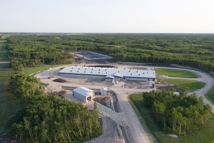 Wrapping up July: What’s new in the world of pigs? Wrapping up July: What’s new in the world of pigs?