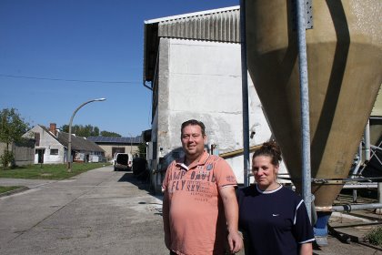 New pigs arrive weighing about 25 kg and leave tipping the scales at 120 kg. - Photo: Kees van Dooren and Vincent ter Beek New pigs arrive weighing about 25 kg and leave tipping the scales at 120 kg. - Photo: Kees van Dooren and Vincent ter Beek