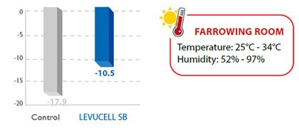 Combined nutritional approaches help pigs tackle heat stress Combined nutritional approaches help pigs tackle heat stress