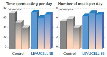 Combined nutritional approaches help pigs tackle heat stress Combined nutritional approaches help pigs tackle heat stress