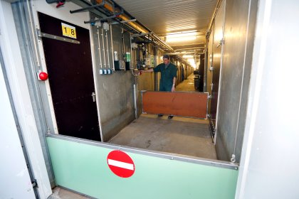 Biosecurity matters at every step of the pig production phase. This particular swine farm (not related to the article) has clear, pneumatic spatial zoning when pigs are being transported away. Photo: Bert Jansen Biosecurity matters at every step of the pig production phase. This particular swine farm (not related to the article) has clear, pneumatic spatial zoning when pigs are being transported away. Photo: Bert Jansen