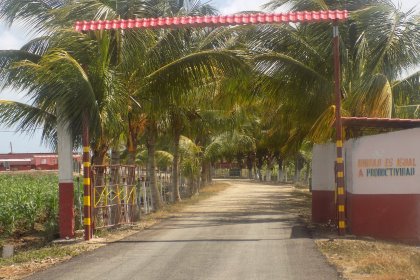 Entrance of the Frank País Swine Company, in the province of Matanzas, in western Cuba. Note the slogan on the gate, saying: “Unity equals productivity.” Entrance of the Frank País Swine Company, in the province of Matanzas, in western Cuba. Note the slogan on the gate, saying: “Unity equals productivity.”