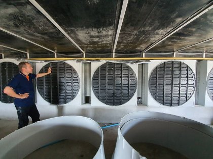 The BF 50 fan is a 50-inch box fan that fits into the existing fan holes needing replacement. Photo: SKOV The BF 50 fan is a 50-inch box fan that fits into the existing fan holes needing replacement. Photo: SKOV