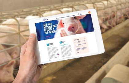 Business Update: New pig innovations Business Update: New pig innovations