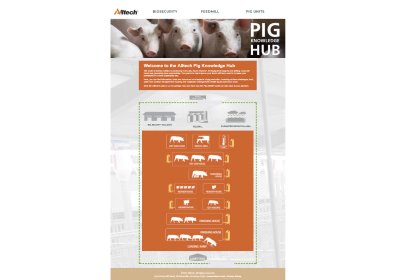 Wrapping up November: What’s new in the world of pigs? Wrapping up November: What’s new in the world of pigs?