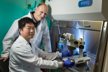 Jun Wu (front) and Juan Carlos Izpisua Belmonte. Photo: Salk Institute Jun Wu (front) and Juan Carlos Izpisua Belmonte. Photo: Salk Institute