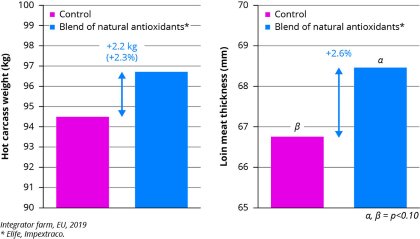Controlling oxidative stress in pigs Controlling oxidative stress in pigs