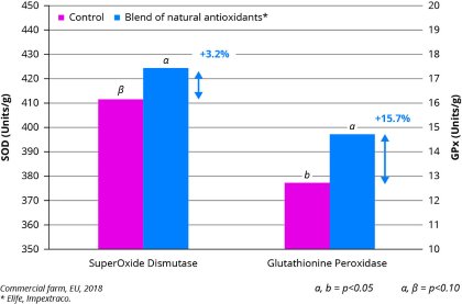Controlling oxidative stress in pigs Controlling oxidative stress in pigs