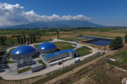 Wrapping up October: What’s new in the world of pigs? Wrapping up October: What’s new in the world of pigs?