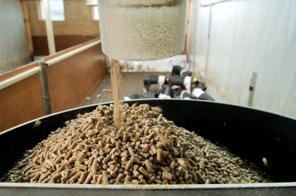 The world’s feed industry has become very aware of how viruses can survive in and be transported in feed ingredients. Photo: Ruben Keestra The world’s feed industry has become very aware of how viruses can survive in and be transported in feed ingredients. Photo: Ruben Keestra