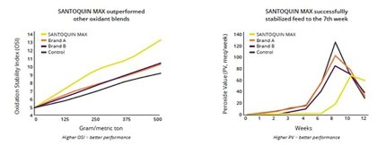 Antioxidant benefits in pig feed Antioxidant benefits in pig feed