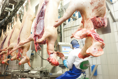 EU parliament: Labelling required for processed pork