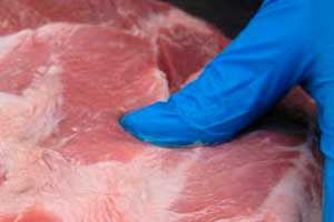 North American pork industry leaders discuss trade