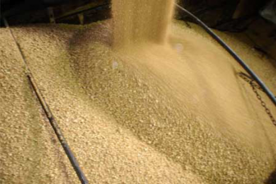 Soybean meal 'gold standard in animal feed'