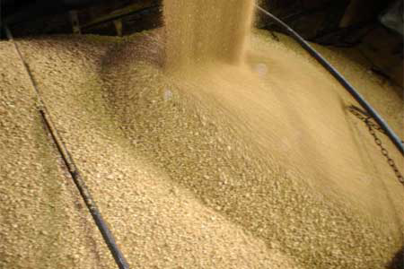 Soybean meal 'gold standard in animal feed'