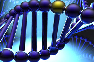 Genome sequence of 70 pigs, over 10M SNPs identified