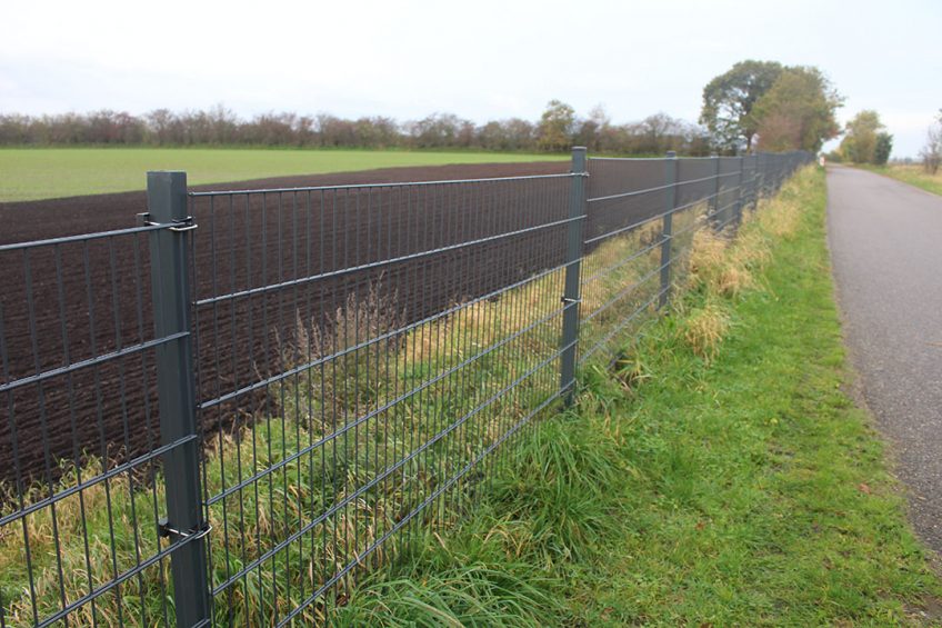 An impression what a permanent fence may look like this one was constructed by Denmark to avoid the entry of wild boar from the south. - Photo: Vincent ter Beek