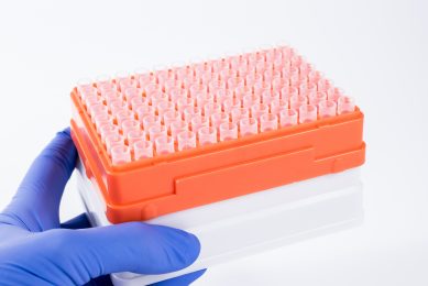 The FMD vaccine bank will have to be situated offshore. Photo: Shutterstock