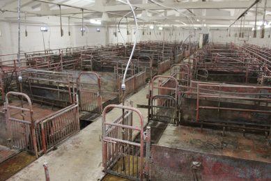 Total emptiness in a Lithuanian farm, when it lost all animals due to ASF in 2015. Photo: Vincent ter Beek